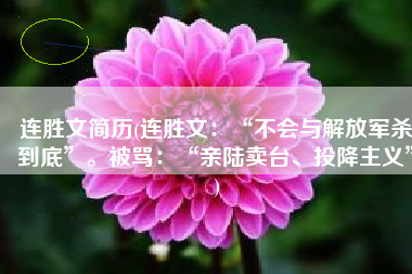 连胜文简历(连胜文：“不会与解放军杀到底”。被骂：“亲陆卖台、投降主义”)