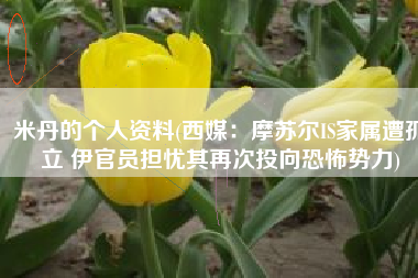 米丹的个人资料(西媒：摩苏尔IS家属遭孤立 伊官员担忧其再次投向恐怖势力)