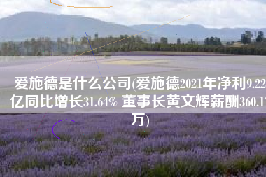 爱施德是什么公司(爱施德2021年净利9.22亿同比增长31.64% 董事长黄文辉薪酬360.17万)