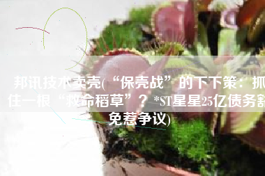 邦讯技术卖壳(“保壳战”的下下策：抓住一根“救命稻草”？*ST星星25亿债务豁免惹争议)
