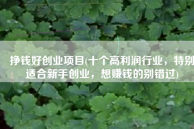 挣钱好创业项目(十个高利润行业，特别适合新手创业，想赚钱的别错过)