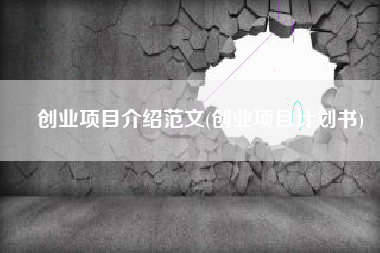 创业项目介绍范文(创业项目计划书)