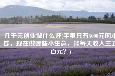 几千元创业做什么好(手里只有5000元的本钱，现在做哪些小生意，能每天收入三五百元？)