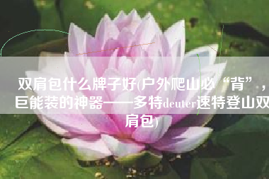 双肩包什么牌子好(户外爬山必“背”，巨能装的神器——多特deuter速特登山双肩包)