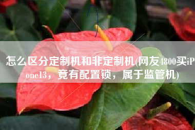 怎么区分定制机和非定制机(网友4800买iPhone13，竟有配置锁，属于监管机)