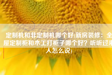 定制机和非定制机哪个好(新房装修：全屋定制柜和木工打柜子哪个好？听听过来人怎么说)