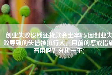 创业失败没钱还贷款会坐牢吗(因创业失败导致的失信被执行人，目前的惩戒措施有用吗？分析一下)