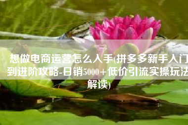 想做电商运营怎么入手(拼多多新手入门到进阶攻略-日销5000+低价引流实操玩法解读)