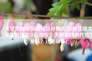 大学生创业贷款可以分期还吗(浙江省大学生可贷款10万创业？失败由政府代偿？是坑？还是福？)