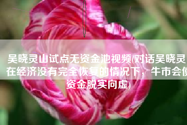 吴晓灵山试点无资金池视频(对话吴晓灵：在经济没有完全恢复的情况下，牛市会使资金脱实向虚)