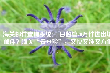 海关邮件查询系统(一日监管70万件进出境邮件？海关“云查验”，又快又准又方便)