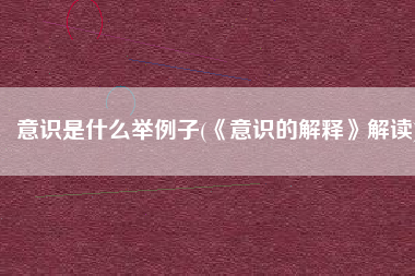 意识是什么举例子(《意识的解释》解读)