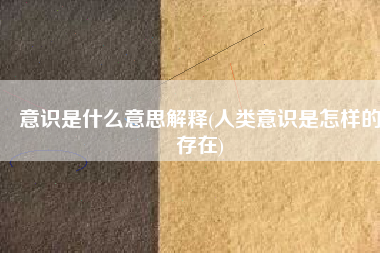 意识是什么意思解释(人类意识是怎样的存在)