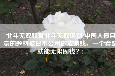 北斗无双和真北斗无双区别(中国人最自豪的题材被日本公司做成游戏，一个套路就能无限圈钱？)