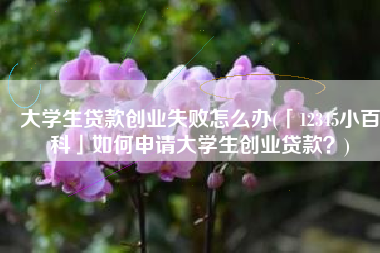 大学生贷款创业失败怎么办(「12345小百科」如何申请大学生创业贷款？)