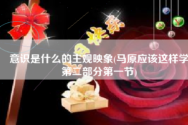 意识是什么的主观映象(马原应该这样学第二部分第一节)