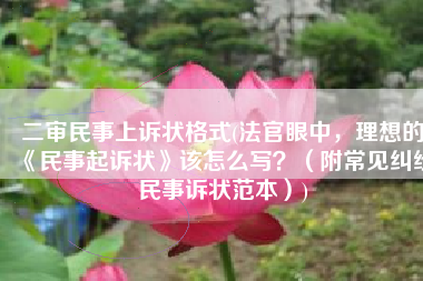 二审民事上诉状格式(法官眼中，理想的《民事起诉状》该怎么写？（附常见纠纷民事诉状范本）)
