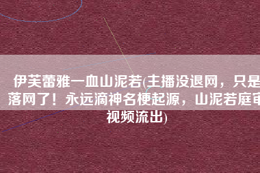 伊芙蕾雅一血山泥若(主播没退网，只是落网了！永远滴神名梗起源，山泥若庭审视频流出)