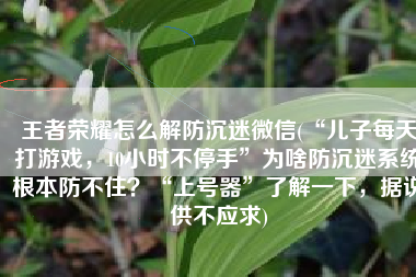 王者荣耀怎么解防沉迷微信(“儿子每天打游戏，10小时不停手”为啥防沉迷系统根本防不住？“上号器”了解一下，据说供不应求)