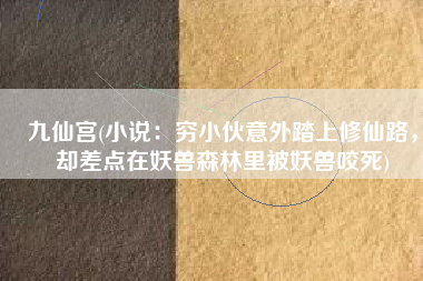 九仙宫(小说：穷小伙意外踏上修仙路，却差点在妖兽森林里被妖兽咬死)