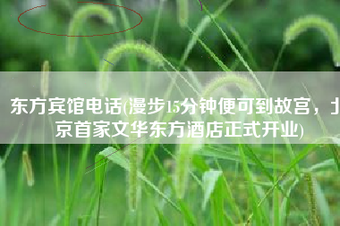 东方宾馆电话(漫步15分钟便可到故宫，北京首家文华东方酒店正式开业)