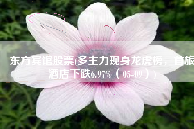 东方宾馆股票(多主力现身龙虎榜，首旅酒店下跌6.97%（05-09）)