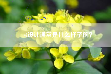 vi设计通常是什么样子的？