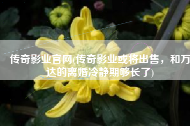 传奇影业官网(传奇影业或将出售，和万达的离婚冷静期够长了)