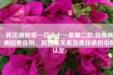 民法通则第一百三十一条第二款(自身疾病因素在刑、民因果关系及责任承担中的认定)