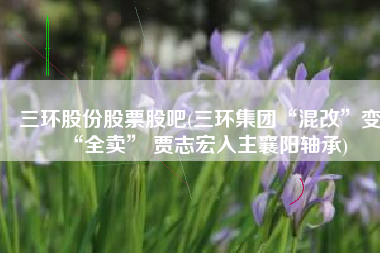 三环股份股票股吧(三环集团“混改”变“全卖” 贾志宏入主襄阳轴承)