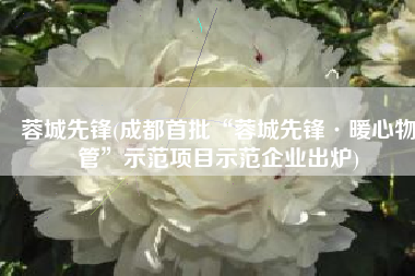 蓉城先锋(成都首批“蓉城先锋·暖心物管”示范项目示范企业出炉)