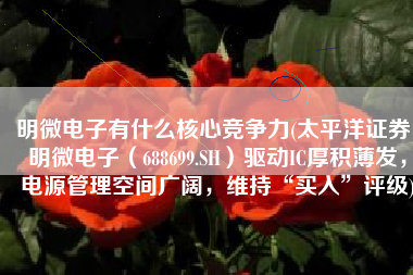明微电子有什么核心竞争力(太平洋证券：明微电子（688699.SH）驱动IC厚积薄发，电源管理空间广阔，维持“买入”评级)