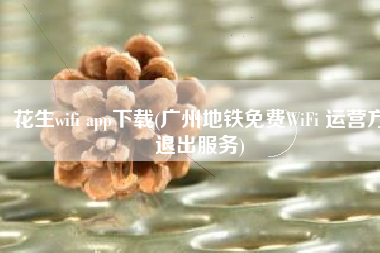 花生wifi app下载(广州地铁免费WiFi 运营方退出服务)