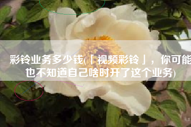 彩铃业务多少钱(「视频彩铃」，你可能也不知道自己啥时开了这个业务)