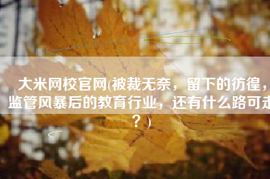 大米网校官网(被裁无奈，留下的彷徨，监管风暴后的教育行业，还有什么路可走？)