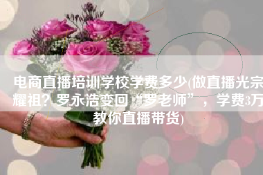 电商直播培训学校学费多少(做直播光宗耀祖？罗永浩变回“罗老师”，学费3万教你直播带货)