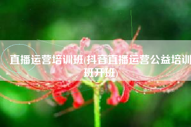 直播运营培训班(抖音直播运营公益培训班开班)