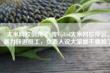 大米网校倒闭了(传Vipkid大米网校停运，暴力辞退员工，负责人说大家都不要脸了)