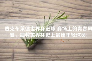 麦克布莱德世界杯进球(赛场上的青春风暴，细数世界杯史上最佳年轻球员)