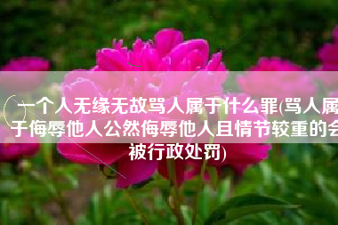 一个人无缘无故骂人属于什么罪(骂人属于侮辱他人公然侮辱他人且情节较重的会被行政处罚)