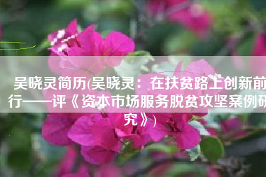 吴晓灵简历(吴晓灵：在扶贫路上创新前行——评《资本市场服务脱贫攻坚案例研究》)