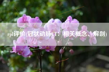 rpl评价(冠状动脉CT：相关概念、解剖)