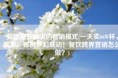 餐饮现在最火的营销模式(一天卖66W杯，瑞幸、椰树梦幻联动！餐饮跨界营销怎么做？)