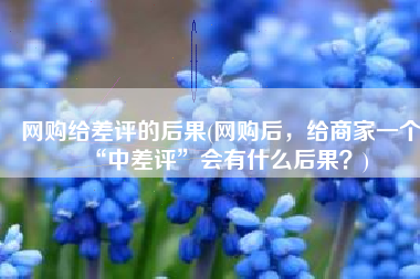 网购给差评的后果(网购后，给商家一个“中差评”会有什么后果？)