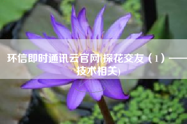 环信即时通讯云官网(探花交友（1）——技术相关)