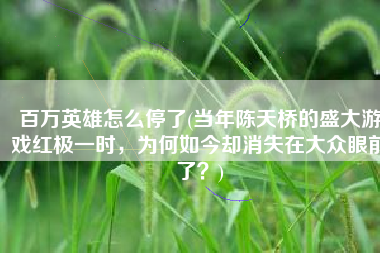 百万英雄怎么停了(当年陈天桥的盛大游戏红极一时，为何如今却消失在大众眼前了？)