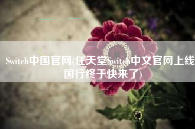 Switch中国官网(任天堂Switch中文官网上线：国行终于快来了)