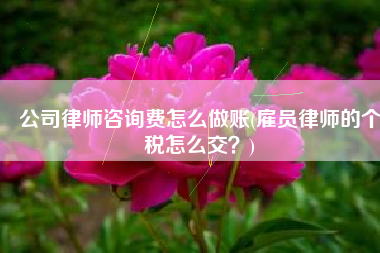 公司律师咨询费怎么做账(雇员律师的个税怎么交？)