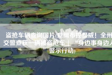 盗抢车辆查询图片(查缉布控显威！全州交警查获一辆被盗抢车 | “身边事身边人”警示行动)