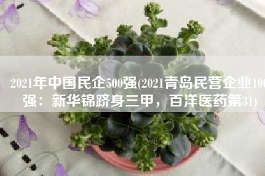 2021年中国民企500强(2021青岛民营企业100强：新华锦跻身三甲，百洋医药第31)